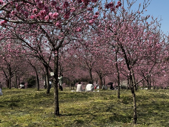 アクセス情報を事前に確認しておくとおでかけがスムーズに♪