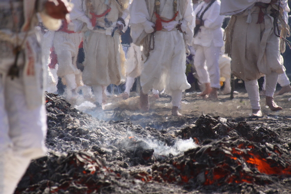 一般参拝者が歩く炭の温度は体温とほぼ同じくらい。火傷の心配はありません