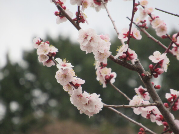 2026年2月24日の様子