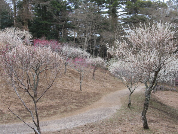 2026年2月24日の様子