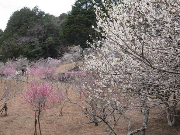 2026年2月24日の様子