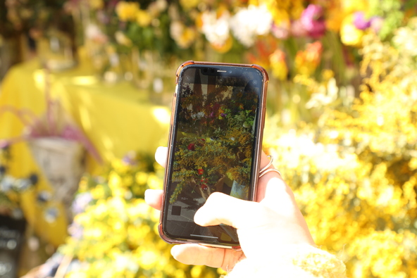 「フォト＆ムービーコンテスト」イメージ