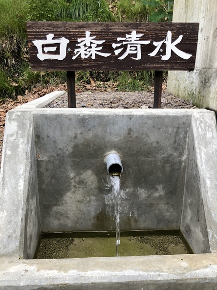白森清水