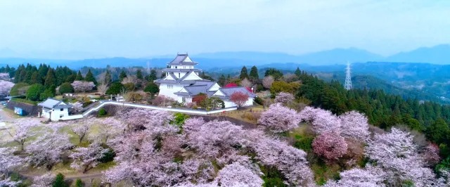 第19回天ヶ城開門さくらまつり2026 | 宮崎市「天ケ城開門さくらまつり