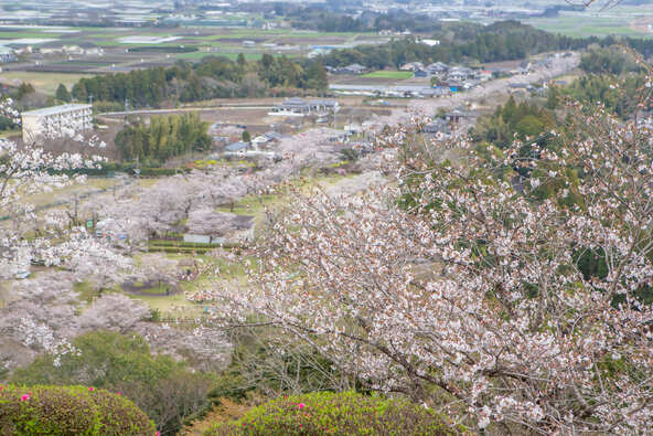 丘の上に立つ「母智丘神社」は、公園全体を見渡すことがでるビュースポット！