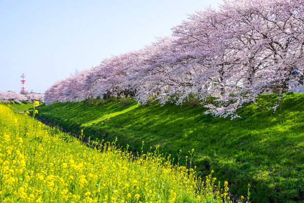 画像： mono / PIXTA