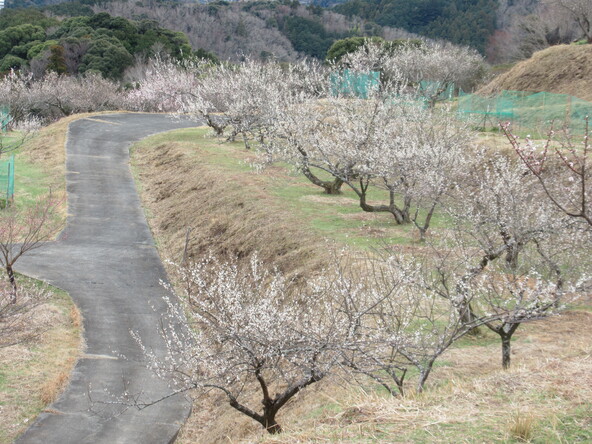 2026年2月27日の様子