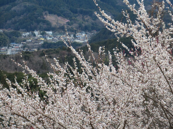 2026年2月27日の様子