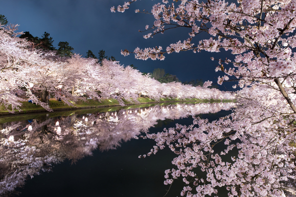 画像：taka / PIXTA