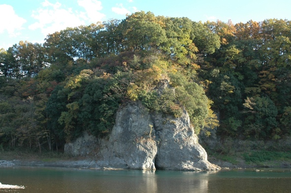 荒川から見る本曲輪