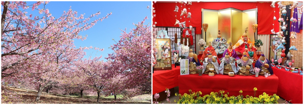 （左）約19ヘクタールの広大な敷地に四季折々の花々が咲き誇る里山公園。（右）大井町郷土資料館の「お山のひなまつり」