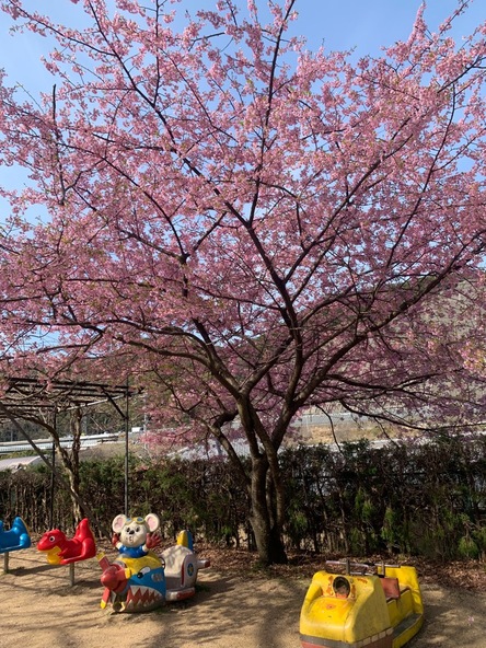 2026年3月5日の様子