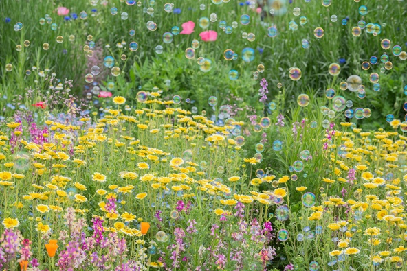 ブーケガーデン×シャボン玉（過去の様子）