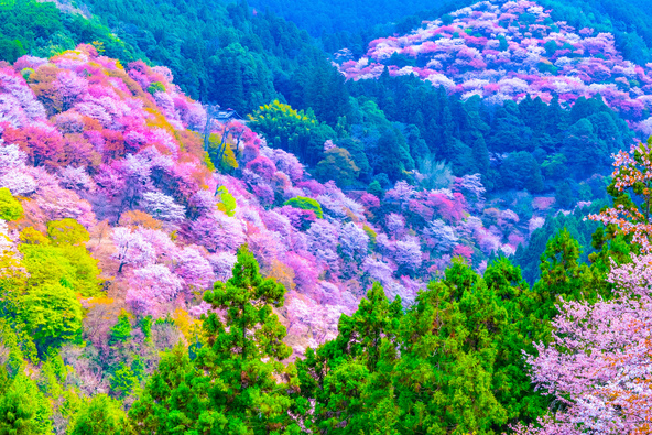 画像：shimanto / PIXTA