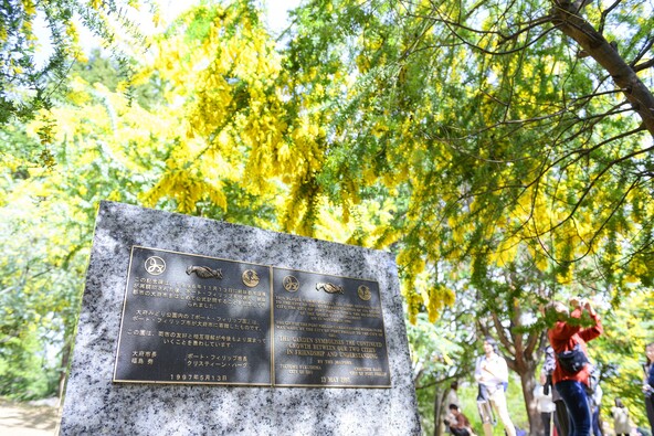 「大府みどり公園」のミモザ（出典：大府市オープンデータ http://creativecommons.org/licenses/by/4.0/）