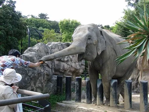たくさんの動物たちに出会えます♪