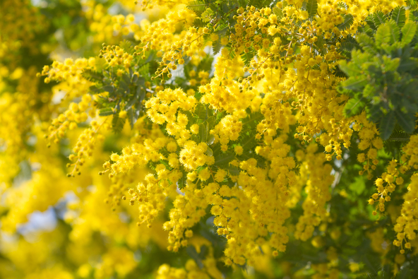 画像はイメージです（画像提供：K松 / PIXTA）