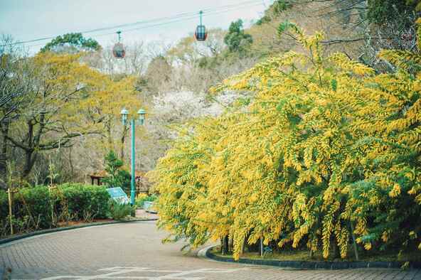 神戸布引ハーブ園