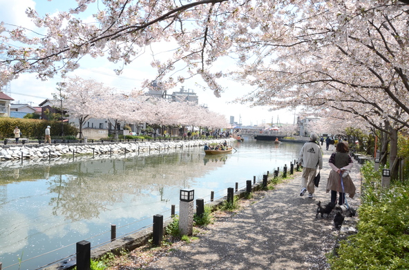 画像提供：江戸川区