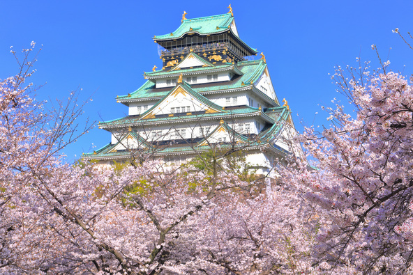 画像: kazukiatuko / PIXTA