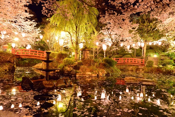 「打吹公園」は、「さくら名所100選」にも選定されています