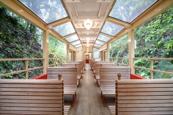 里山の自然をたっぷり体感できる開放的な列車