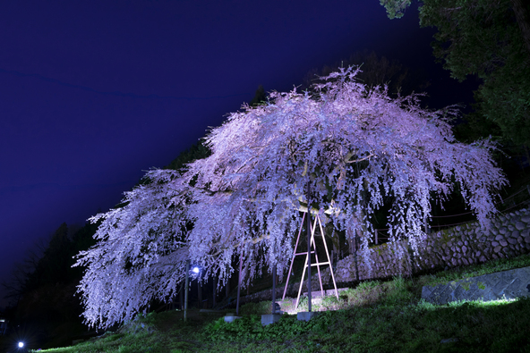 画像提供：いまむー / PIXTA