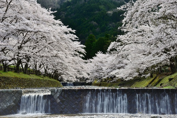 和らぎの道七谷川沿い