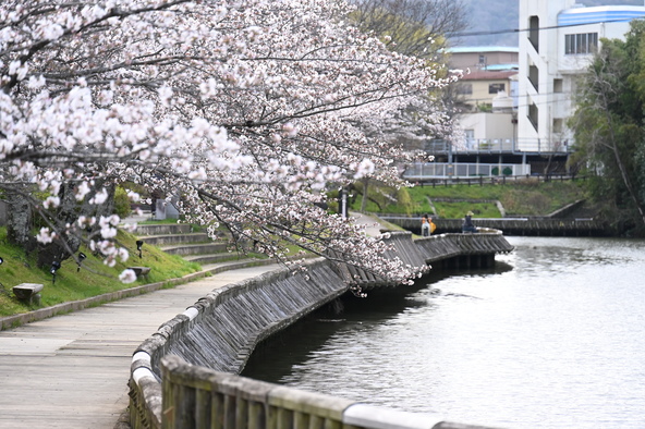 JR亀岡駅からすぐの南郷公園