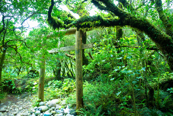 その昔、元服の時に感謝を込めて玉石をお供えした習わしがあった「浅間神社」（画像提供：一般社団法人 八丈島観光協会）