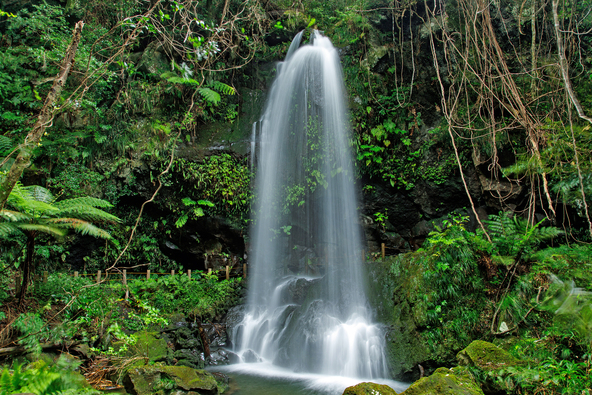 「滝を裏側から見る」という珍しい景観に由来して名付けられた「裏見ヶ滝」（画像提供：一般社団法人 八丈島観光協会）