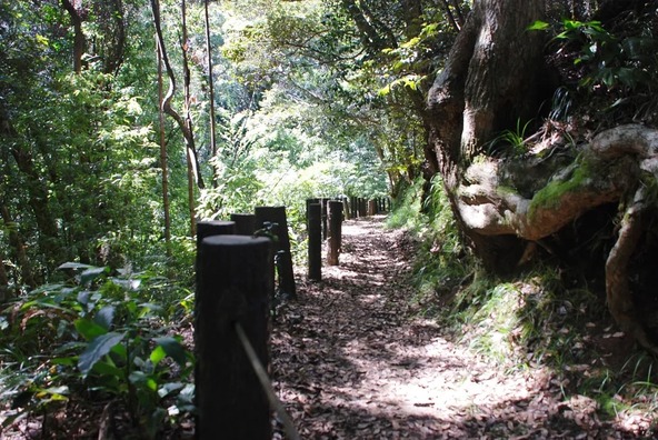 滝までは、ゆっくり歩いて約20分ほどです