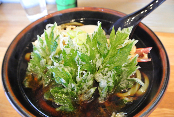 八丈島の健康野菜「明日葉」を使用した「明日葉うどん」（画像提供：一般社団法人 八丈島観光協会）