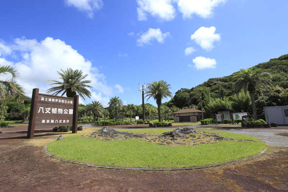八丈島の中心部に位置する「八丈島植物公園」。公園内の「八丈ビジターセンター」では、年間を通じて珍しいキノコの展示も行われています（画像提供：一般社団法人 八丈島観光協会）