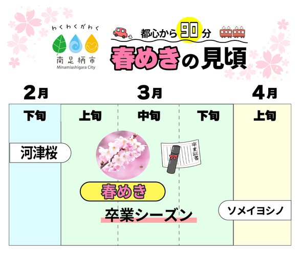 ※神奈川県南足柄市の開花傾向です