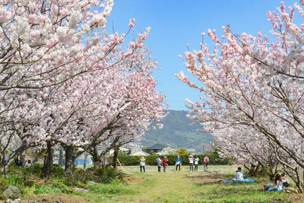 「ふくざわ公園」の春めき