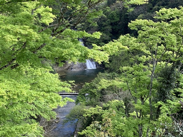 新緑が美しい春の「養老渓谷」