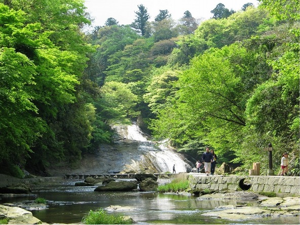 新緑が美しい時季の「粟又の滝」