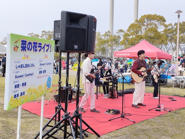 音楽とともに春のひと時を満喫できる「菜の花ライブ」