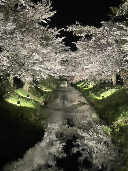 写真提供：忍野村観光協会