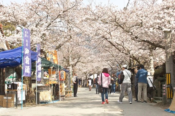 がいせん桜通りを中心に、さまざまな出店で賑わいます