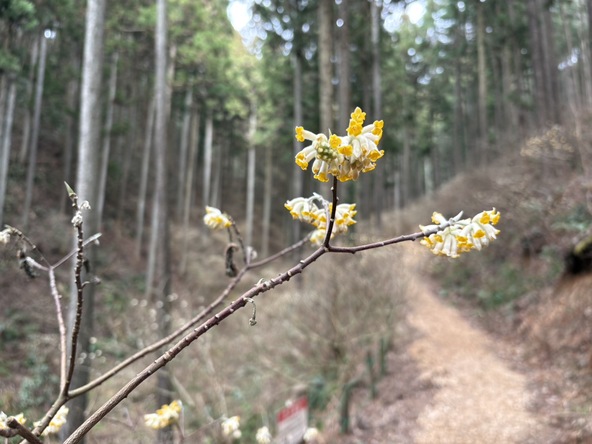 2026年3月14日の様子