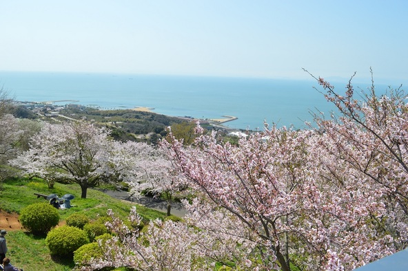 「竜王山公園」から臨む景色