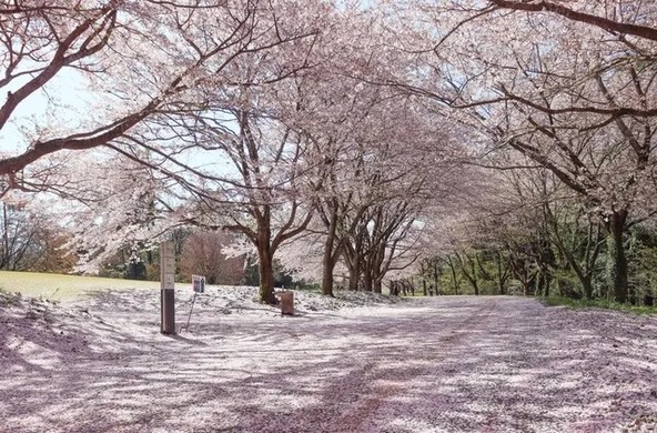 大山（だいせん）も臨める絶好のロケーション