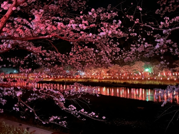 ※写真提供：井原市観光協会