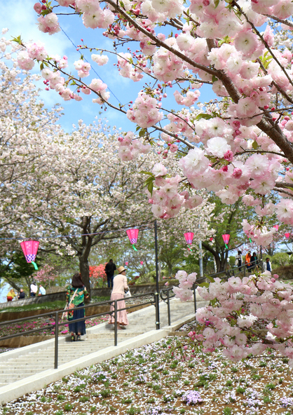 画像提供：那珂市