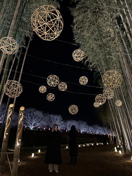 辰ノ口地区の辰「DRAGON」と、幻想的な空間を創り出す竹「BAMBOO」が由来の「DRAGON BAMBOO」（画像提供：常陸大宮市）