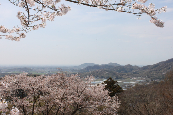関東平野と桜の絶景が広がります（画像提供：栃木市）