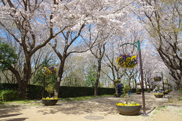 花咲く園内を親子でのんびり散策（画像提供：公益財団法人船橋市公園協会）