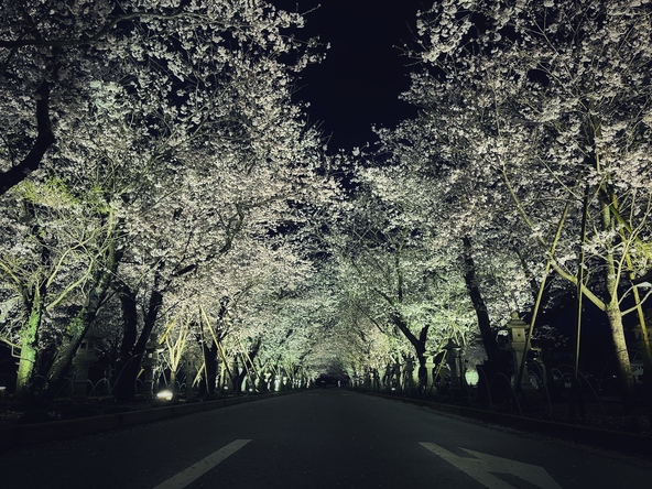 写真協力：南九州市